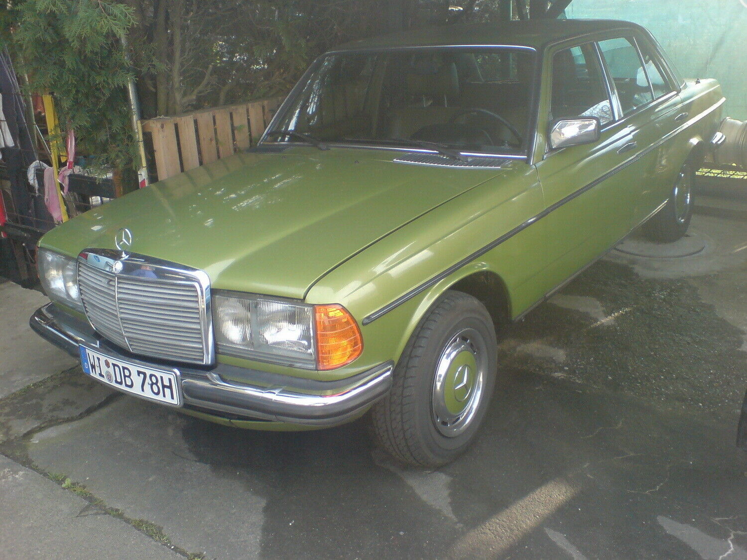 Bilder W123 Citrusgrün....