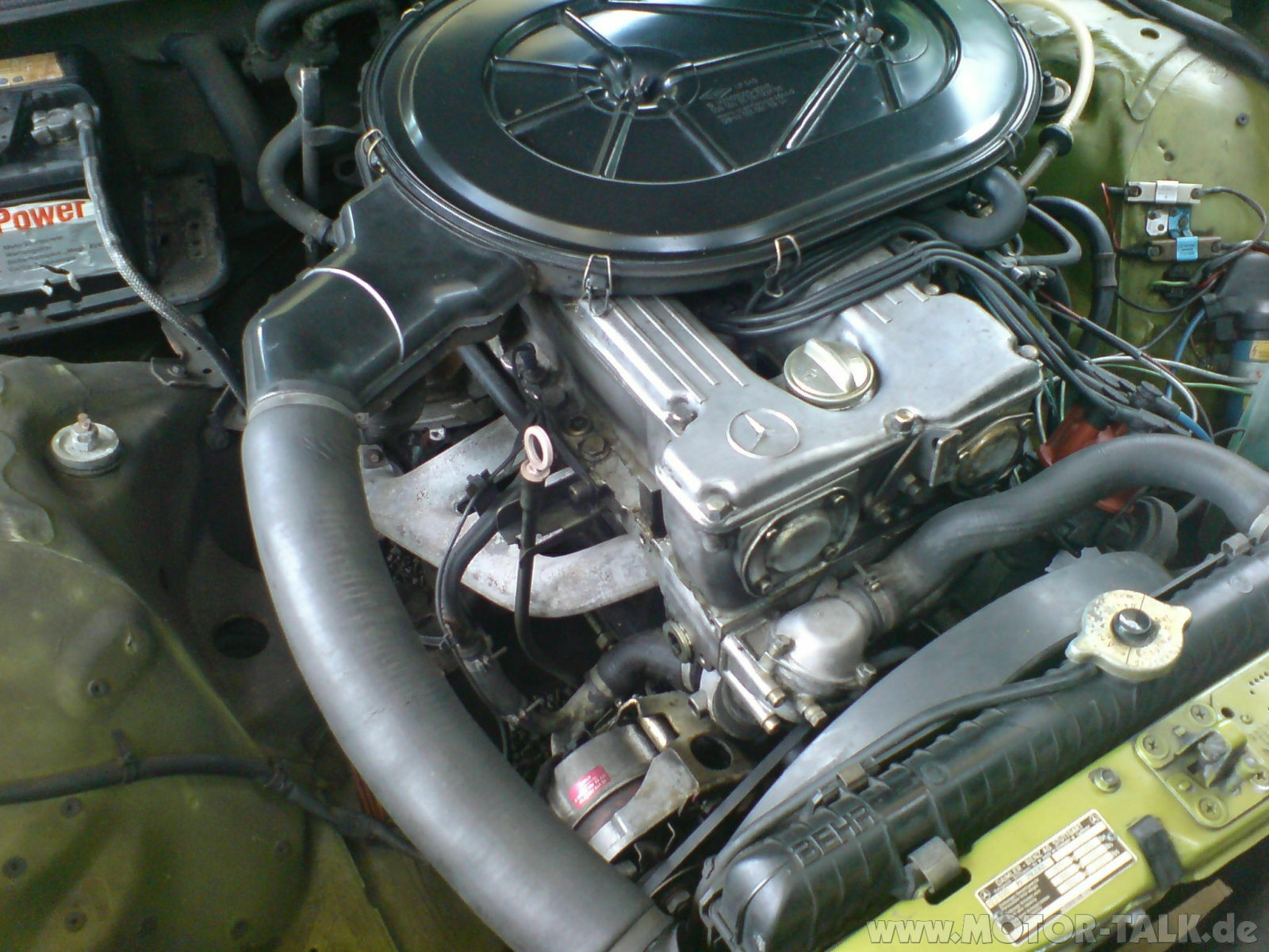 Bilder W123 Citrusgrün....