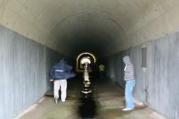 Img-3591