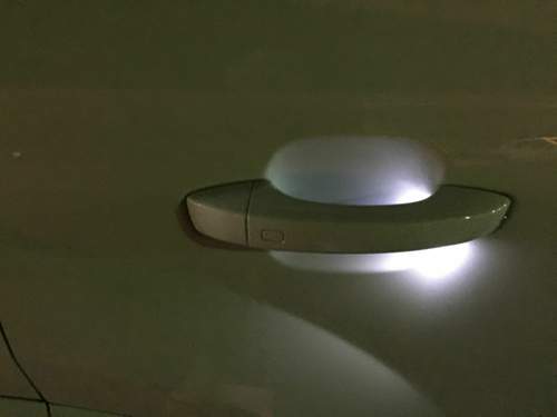 Img-2761