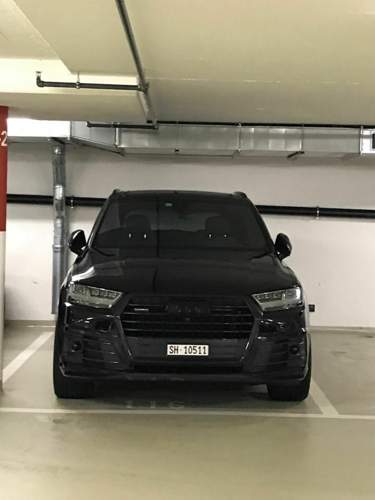 Asset.JPG