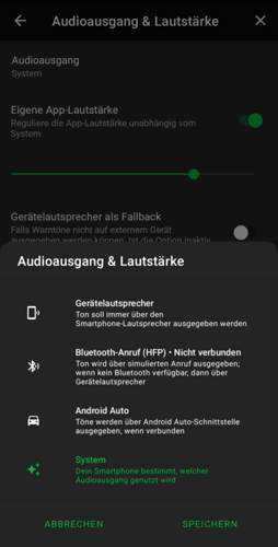 Blitzer.de audioausgabe
