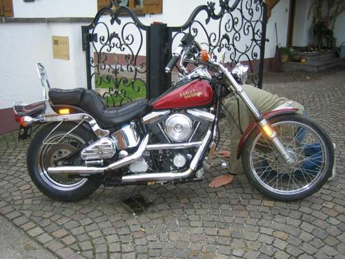 Img-4751