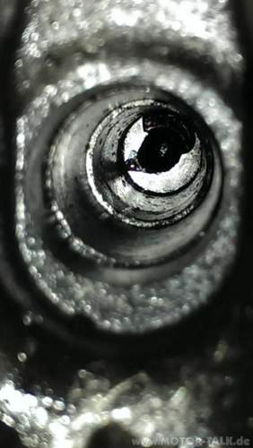 Imag1464