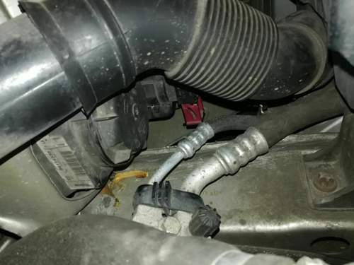 Stecker1