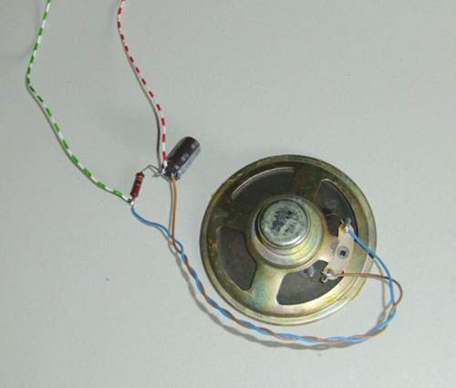 Knallfrosch1