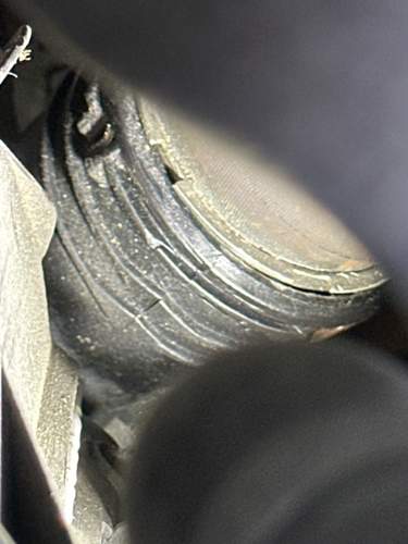 Image-1.jpg
