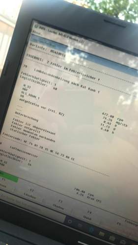 66965828-356596501681386-7993150574142947328-n
