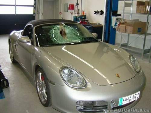Wildunfall-porsche-1