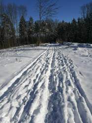 Img-20210214