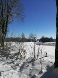 Img-20210214