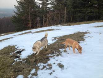 Letzte Reste vom Winter in der Rhön