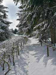 Img-20210406
