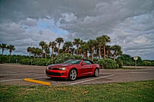 Florida-342