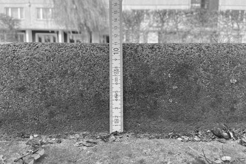 11 cm