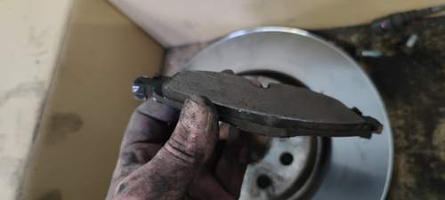 IMG_20230610_150521.jpg