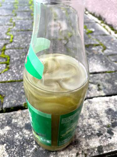 Trübe Suppe 1