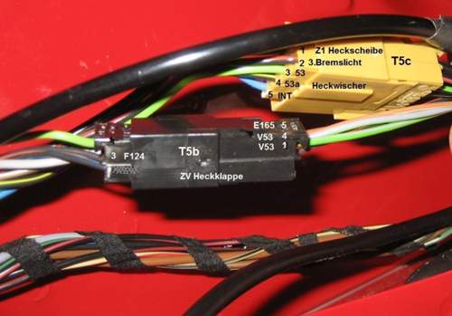 Stecker-t5c-heckwischer