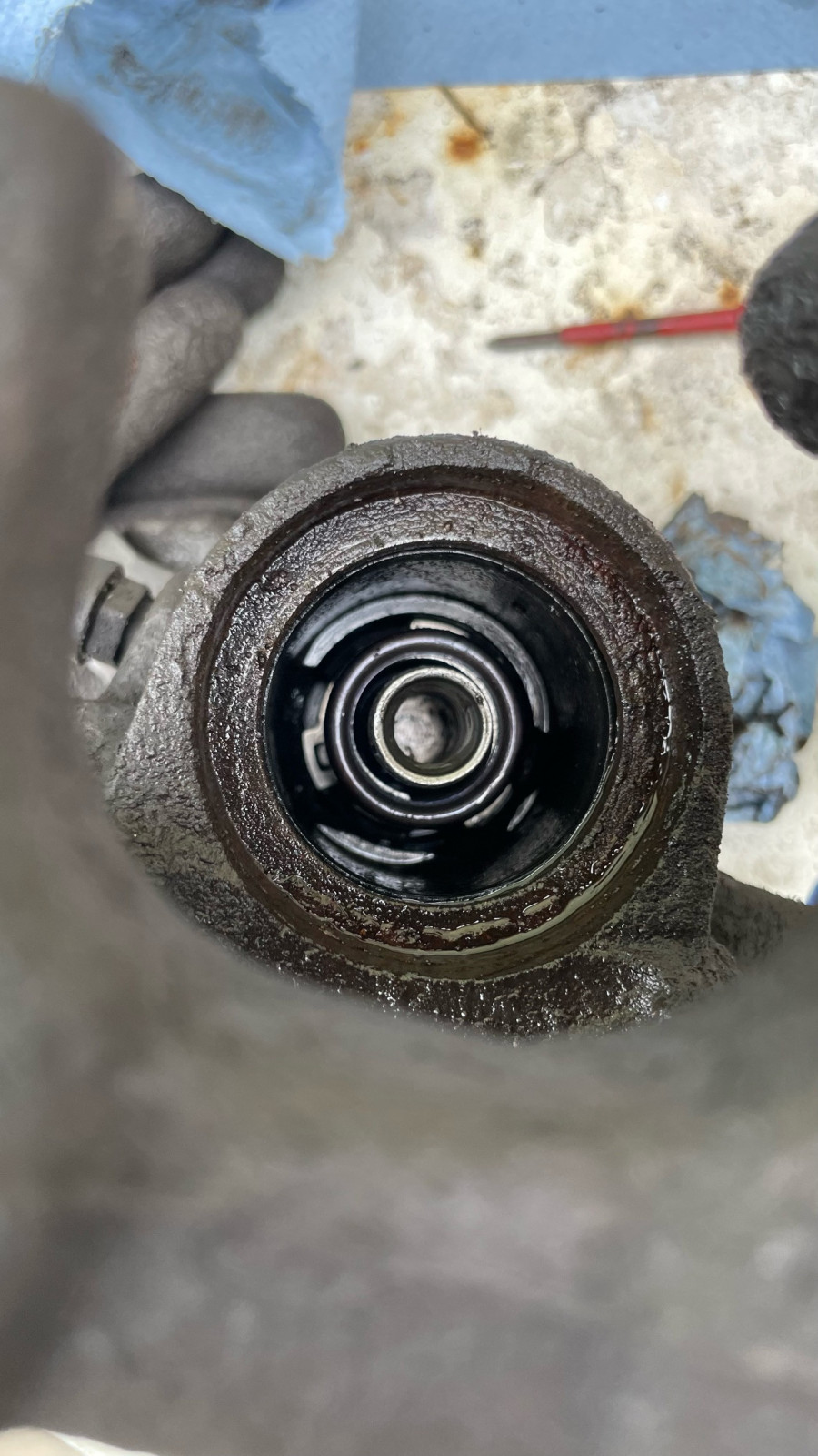 Bremszange hinten überholen