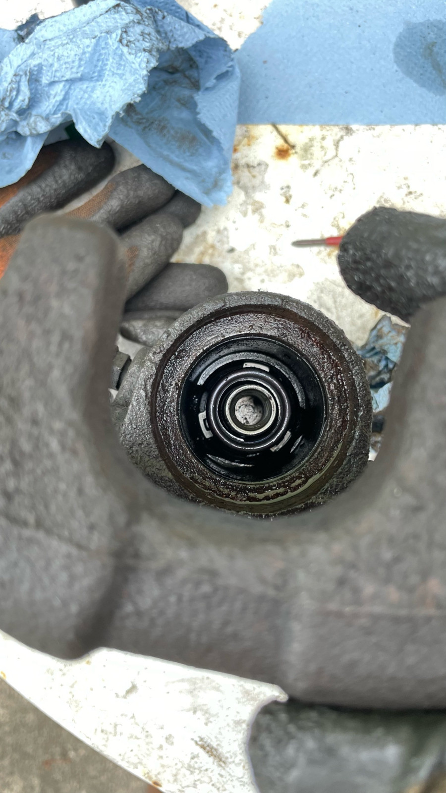 Bremszange hinten überholen