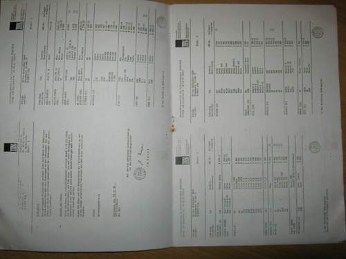 Img-0353