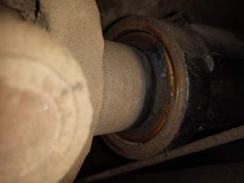 Img-20240625-180525
