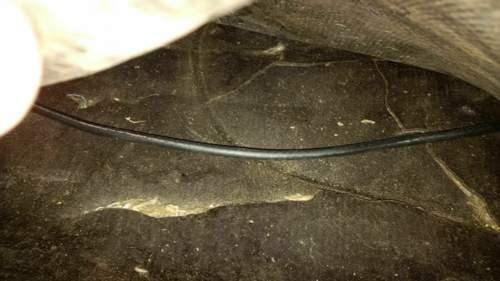 Img-20160620-150545