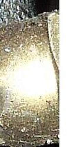 Bild-1