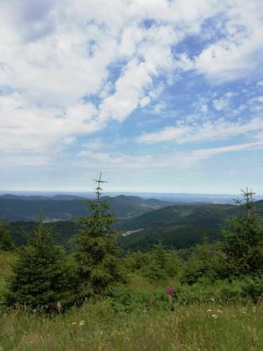 Schwarzwald