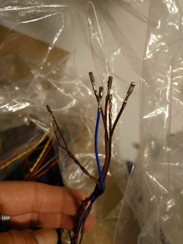 Stecker CPF Modul