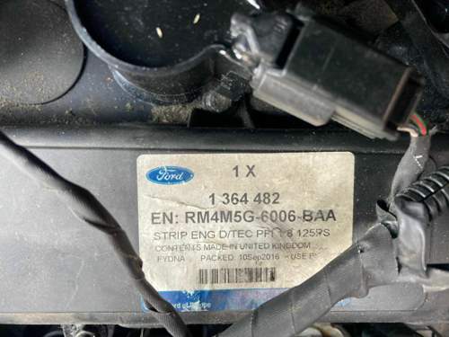 Motor