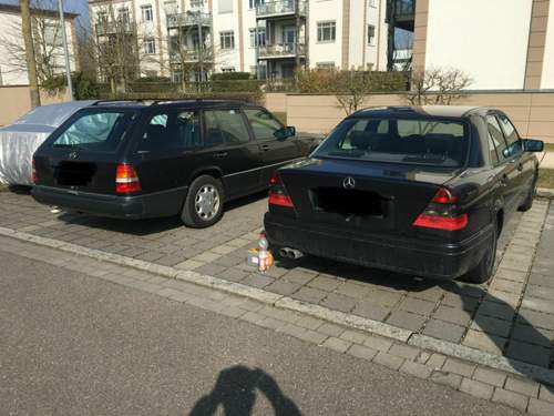 Img-6507