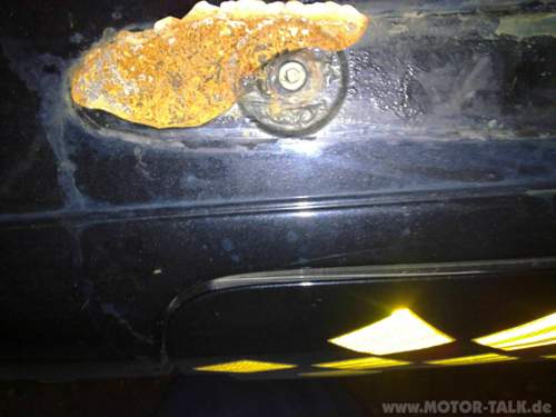 Rost-2