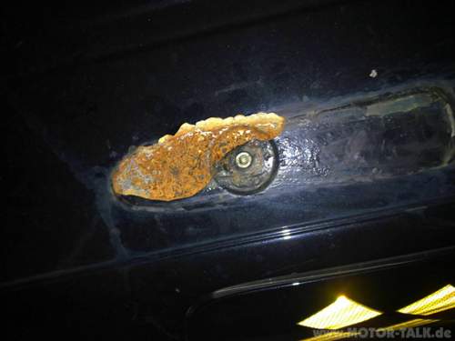 Rost-1