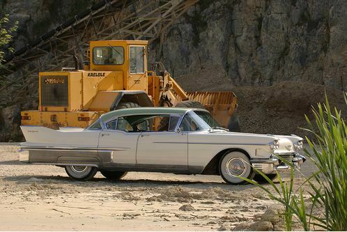 Caddy on the rocks