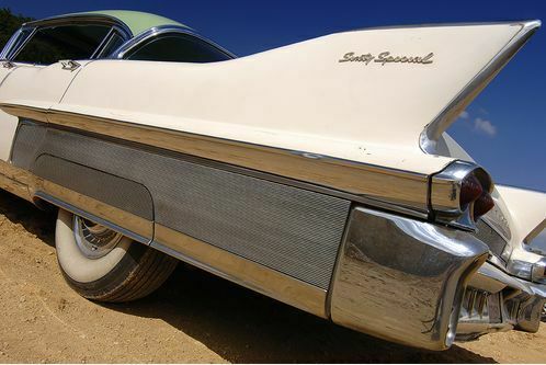 Caddy on the rocks