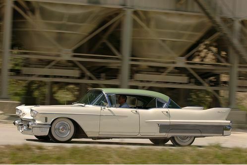 Caddy on the rocks