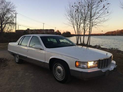 Cadi1