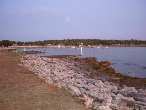P1000202