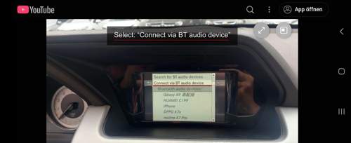 Screenshot-20250329-173622-samsung-internet