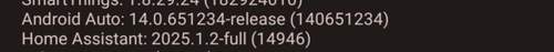 Screenshot-20250404-132751-android-auto