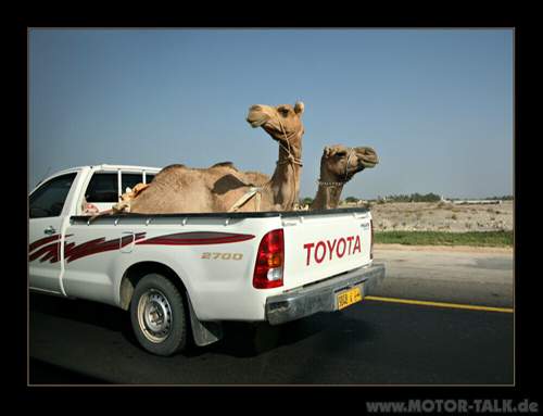 Transport