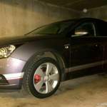 Img-5481