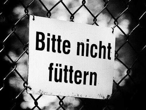 Schild
