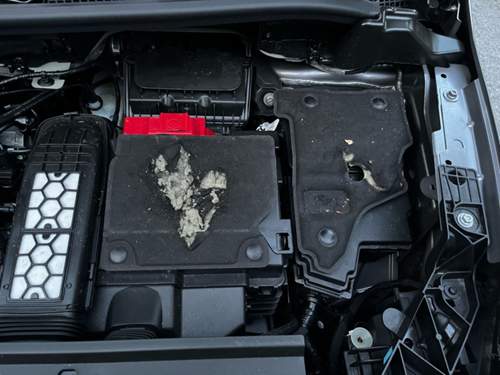 Abdeckung im Motorraum.jpg