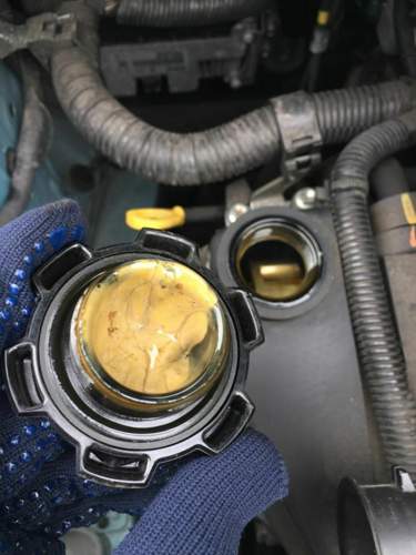 Asset.JPG