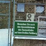 Img-0269
