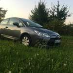 Gutes Licht macht schöne photos