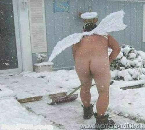 Engel