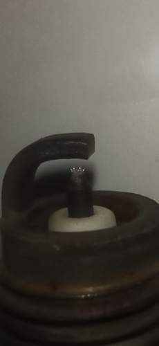 Img-20240901